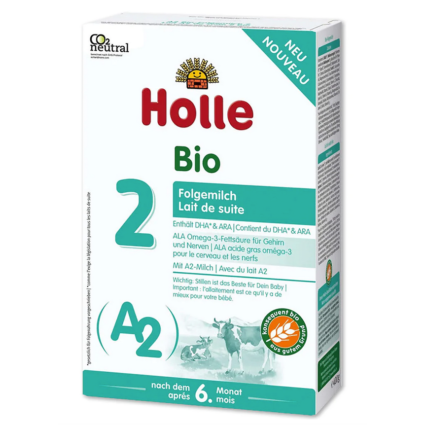Vaca Holle A2 (etapa 2)