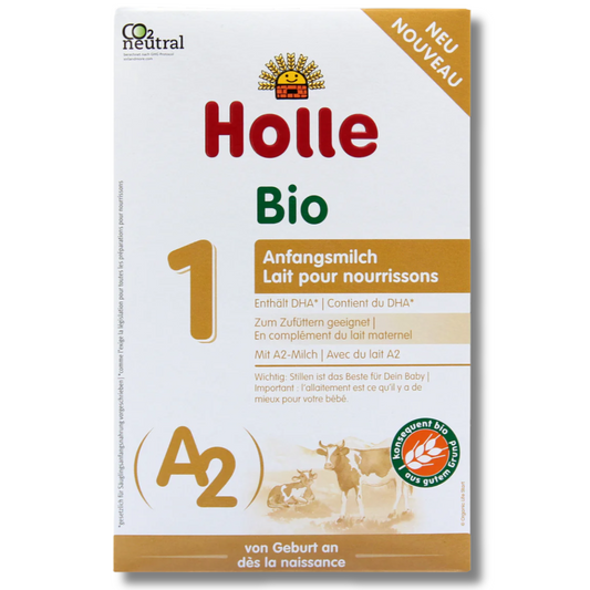 Vaca Holle A2 (etapa 1)