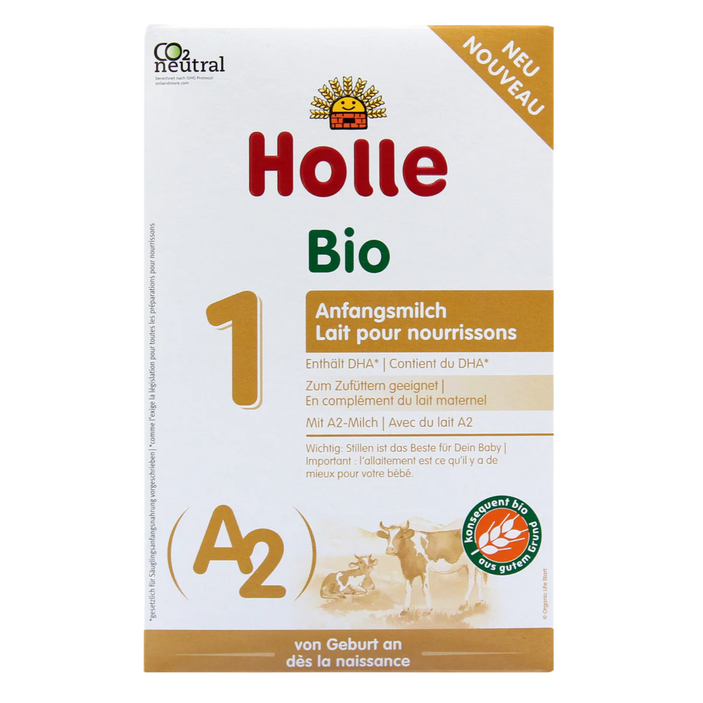 Vaca Holle A2 (etapa 1)