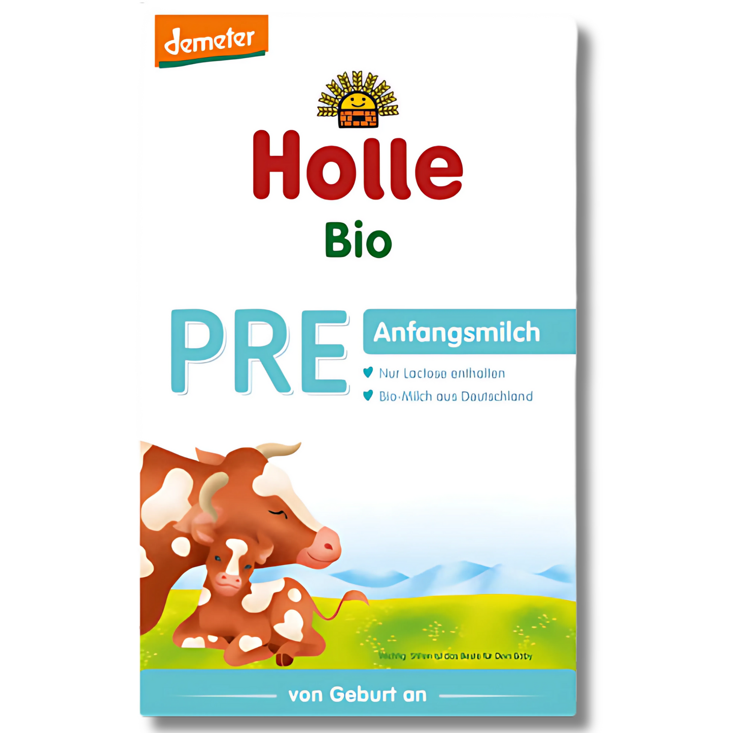 Vaca Holle (etapa PRE)